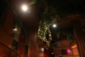 resized_IMG_1206.jpg